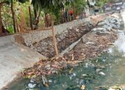 Dampak Rehalibitasi Irigasi Petani Dan Warga Kecamatan Sepatan Timur mengeluh