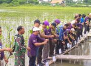 PWI Kabupaten Tangerang Tanam Mangrove Dan Pelepasan Kepiting Belangkas Dalam Rangka HPN 2024