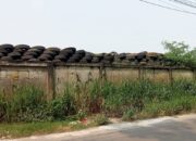 Diduga Penimbunan Ban di Cilimus Bantar Panjang Penyebab Warga Terjangkit Demam Berdarah