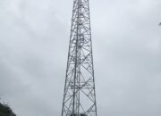 PT Profesional Telekomunikasi Indonesia (Protelindo) Bangun 2 Menara Tower di Dua Desa