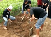 Dihebohkan Muncul Makam Mencurigakan, Ternyata Bangkai Kucing