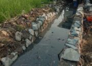 DiDuga Proyek P3a-TGAI, Desa Patramanggala Kecamatan Kemiri Dijadikan Ajang Pungli dan Korupsi Berjamaah