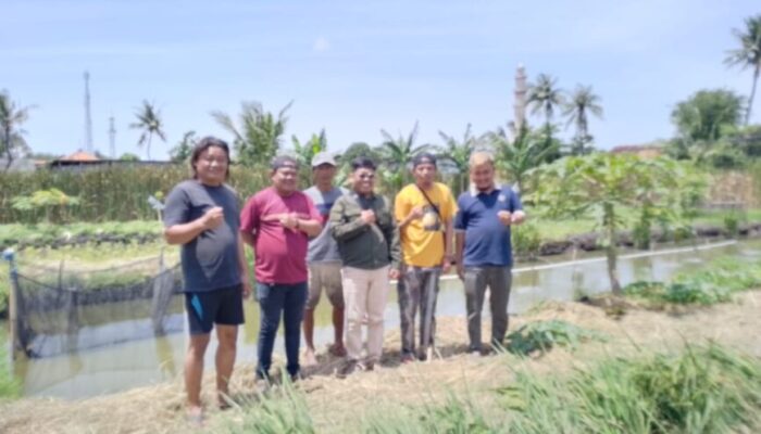 Monitoring Dinas Perikanan Kabupaten Tangerang Dilokasi Yang Dipilih