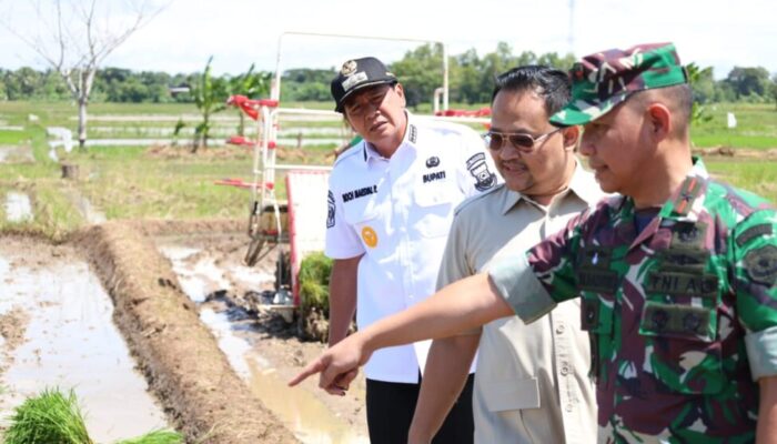 Presiden RI Buka Gerakan Tanam Padi Serentak di 14 Provinsi, Tangerang Jadi Titik Sentral di Banten