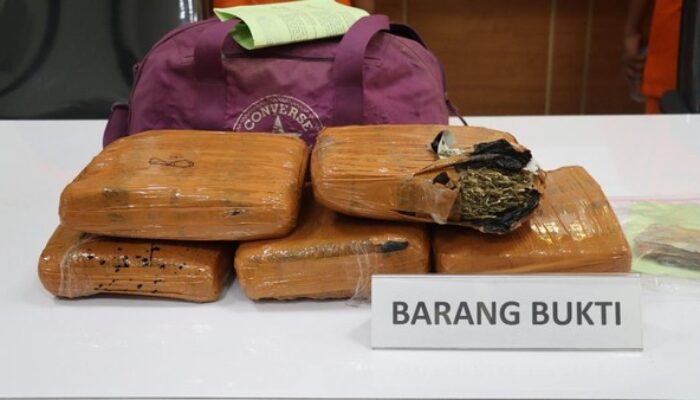 Polisi Bongkar Peredaran Narkoba di Tangerang, 4,8 Kg Ganja Disita