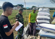 Bulog Tangerang Serap 24.700 Ton Gabah Petani