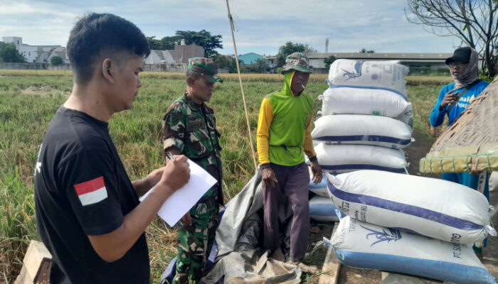 Bulog Tangerang Serap 24.700 Ton Gabah Petani