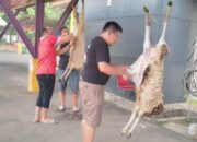 Camat Sepatan Timur Sembelih 2 Ekor Hewan Kurban Daging Dibagikan Untuk Masyarakat