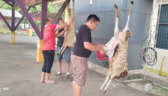 Camat Sepatan Timur Sembelih 2 Ekor Hewan Kurban Daging Dibagikan Untuk Masyarakat