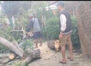 Kades Pangarengan Dan Warga Sigap Atasi Pohon Tumbang Di Wilayahnya