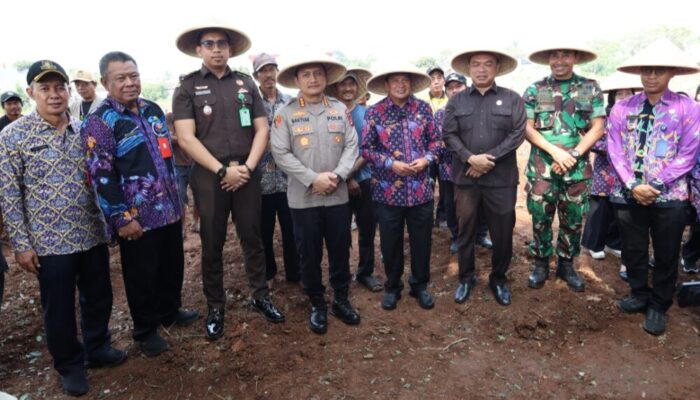 Bupati dan Unsur Forkopimda Tanam Jagung Hibrida di Kampung Batu Tunggul Sukatani