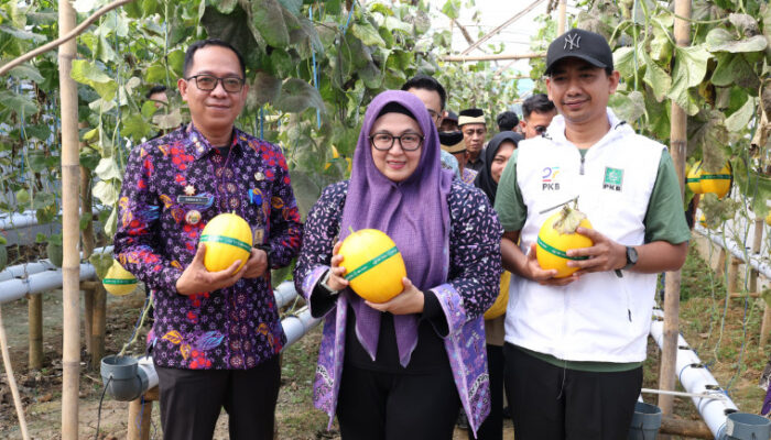 Wabup Intan Apresiasi Green House Anugerah Farm Sebagai Solusi Pertanian Modern dan Ramah Lingkungan