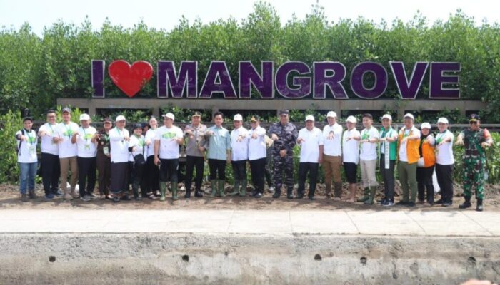 Bupati Tangerang Dampingi Wapres RI Gibran Rakabuming Raka Tanam Mangrove