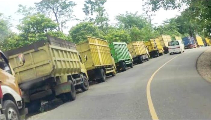 Aktivis Cikasungka Nilai, Camat Solear Abai Atas Aktivitas Dump Truck di Wilayahnya.