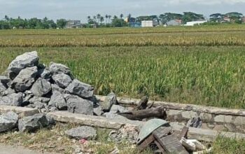 Pembangunan Irigasi Perairan Sawah Di Desa Pekayon Di sambut Hangat Oleh Petani