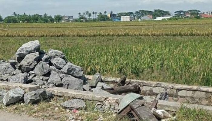 Pembangunan Irigasi Perairan Sawah Di Desa Pekayon Di sambut Hangat Oleh Petani