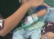 Terjebak di Antara Dua Alamat, Perjuangan Balita Mendapatkan Hak Gizi