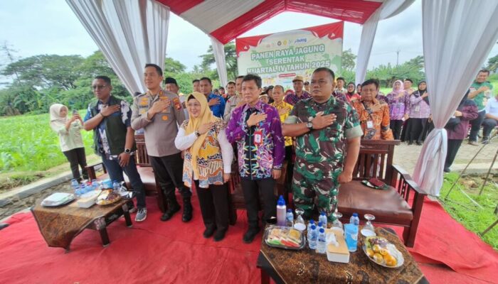 Melalui Zoom Virtual Polsek Sepatan Polres Metro Tangerang Kota Gelar Kegiatan Panen Raya Jagung Kuartal I Tahun 2026 Di Desa Sarakan