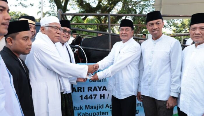 Hadiri Shalat Idul Adha 1447 H di Masjid Al-Amjad, Bupati Tangerang Serahkan Sapi Kurban Bantuan Presiden Prabowo Seberat 1,08 Ton