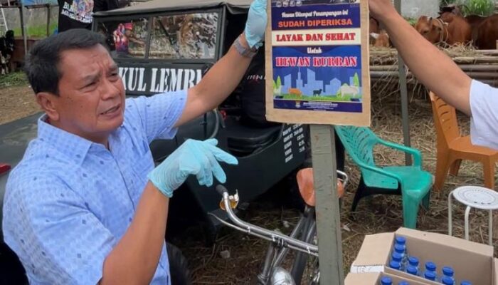 Bupati Maesyal Pastikan Hewan Kurban di Kabupaten Tangerang Sehat dan Aman Jelang Idul Adha 1447 H