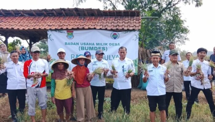 BUMDes Desa Rajeg Mulya Terus Perkuat Perekonomian Warga Melalui Pengembangan Usaha Desa