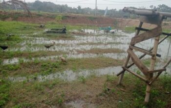 Makam Warga Perumahan GMM Cempaka Kebanjiran, Diduga Dampak Proyek Turap dan Tertutupnya Aliran Air Susukan