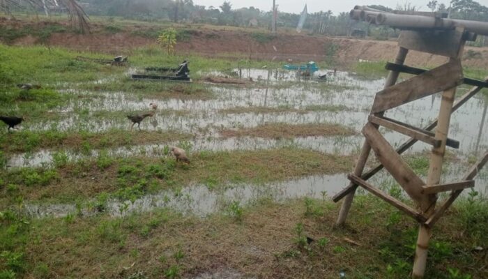 Makam Warga Perumahan GMM Cempaka Kebanjiran, Diduga Dampak Proyek Turap dan Tertutupnya Aliran Air Susukan