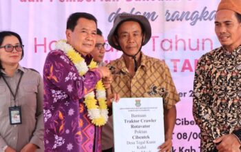 Panen 275 Hektare Sawah di Mauk, Bupati Tangerang Dorong Ketahanan Pangan dan Kesejahteraan Petani